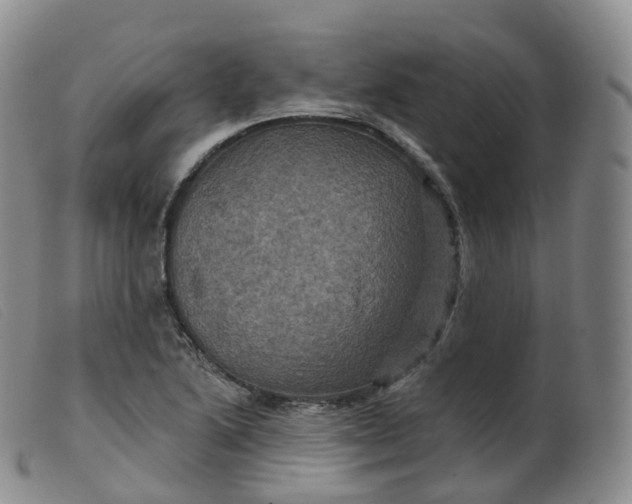 X0000099381222200805221758