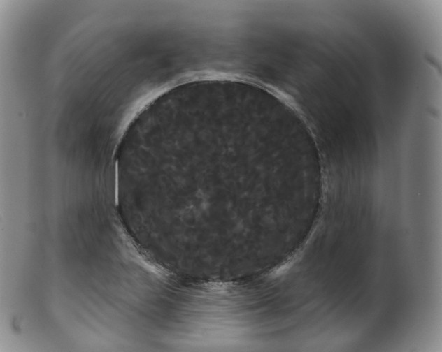 X0000099381223200805221758