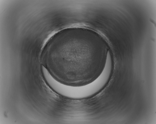 X0000099381224200805221758