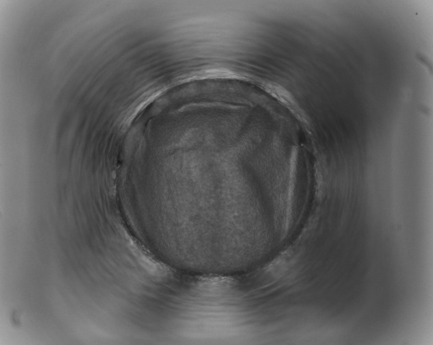 X0000099381225200805221758