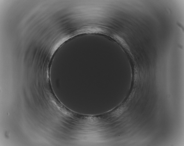 X0000099381226200805221758