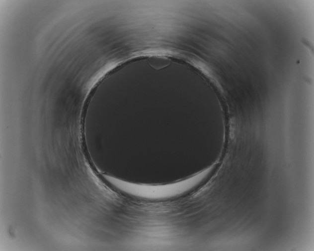 X0000099381229200805221758