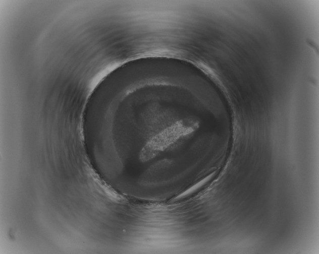 X0000099381230200805221758