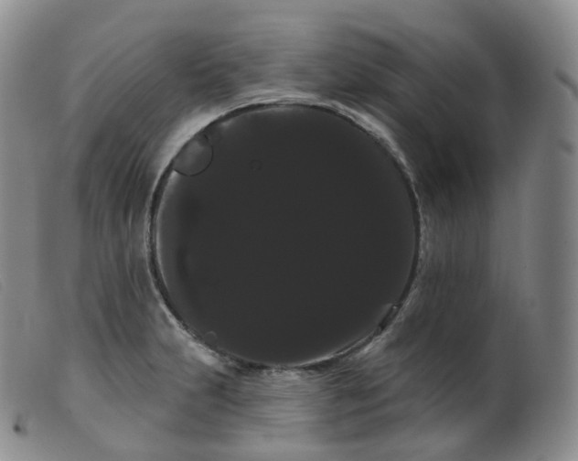 X0000099381231200805221758