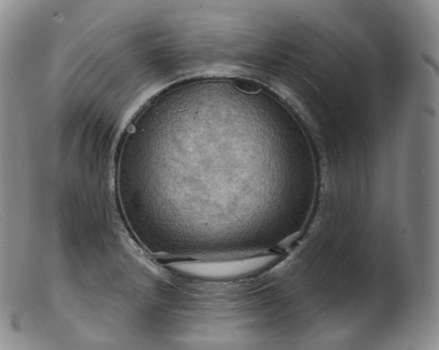 X0000099381232200805221758