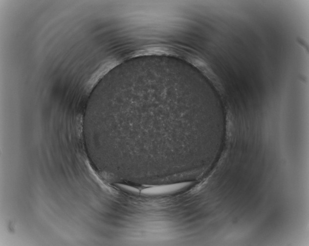 X0000099381233200805221758