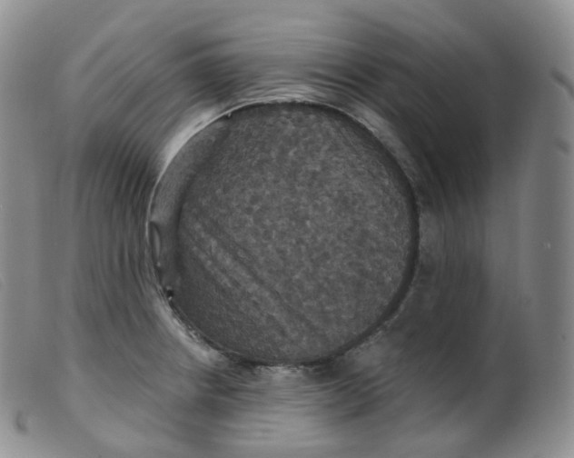 X0000099381234200805221758