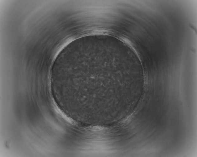 X0000099381235200805221758