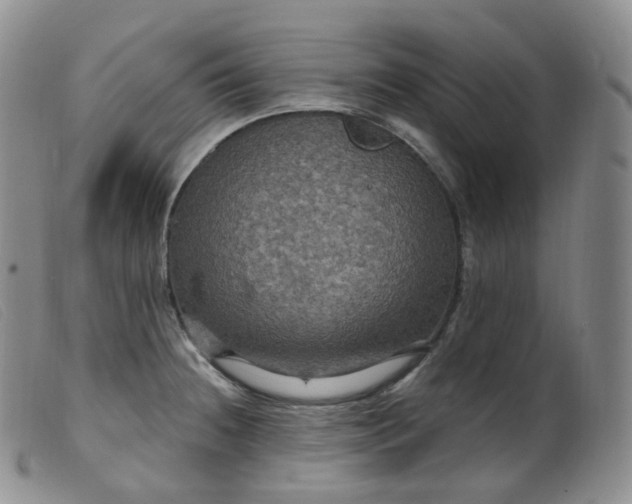 X0000099381236200805221758