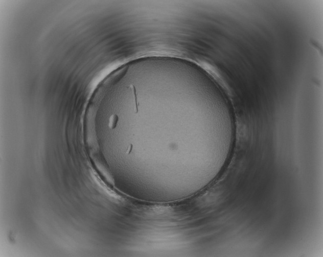 X0000099381238200805221758