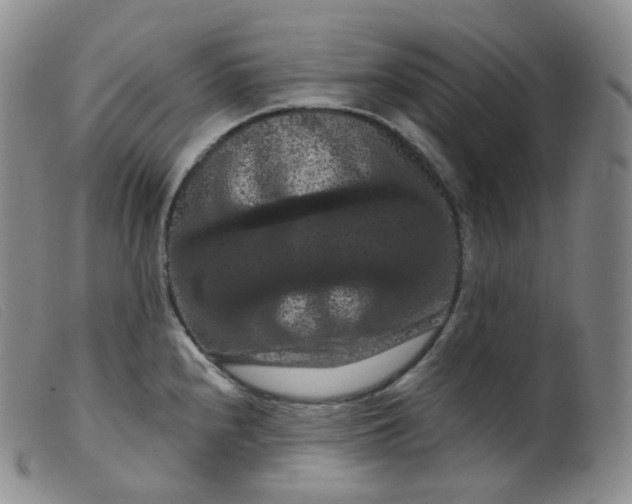 X0000099381240200805221758