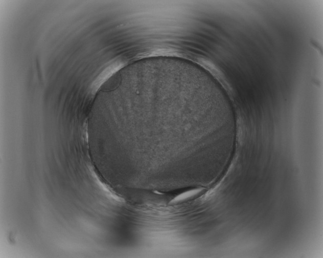 X0000099381241200805221758