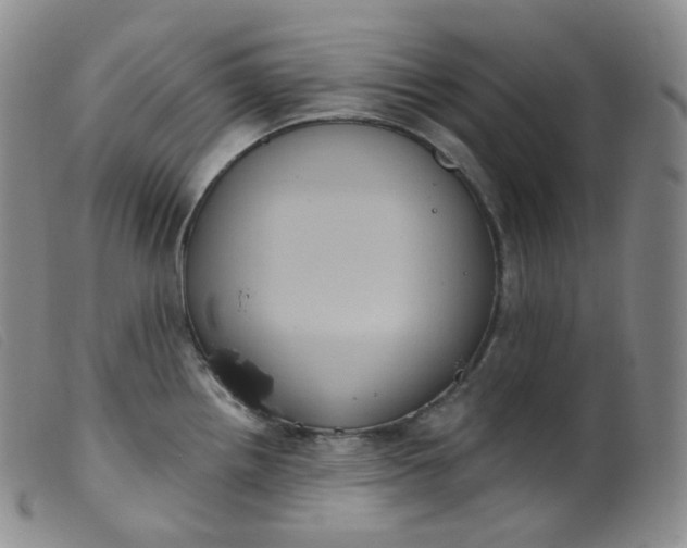 X0000099381242200805221758