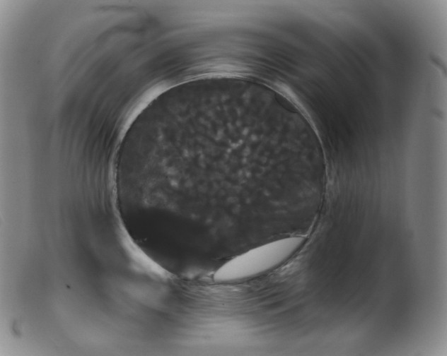 X0000099381243200805221758