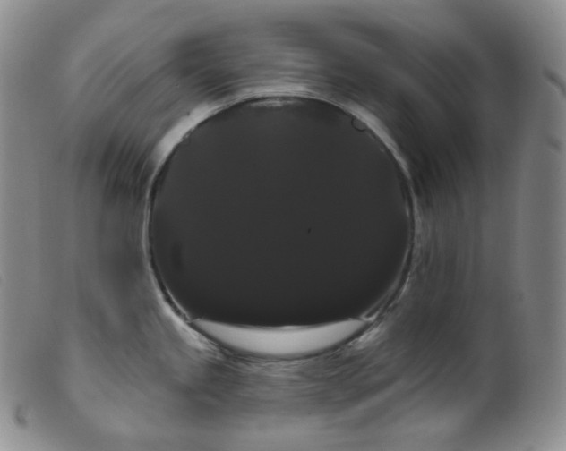 X0000099381245200805221758