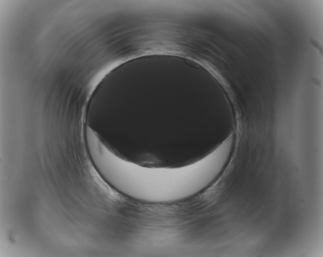 X0000099381246200805221758