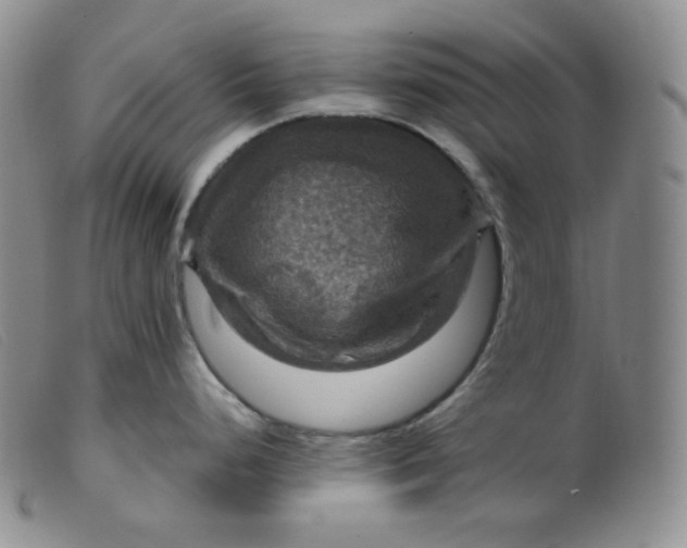 X0000099381248200805221758