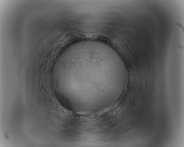 X0000099381249200805221757