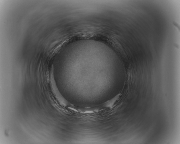 X0000099381250200805221757