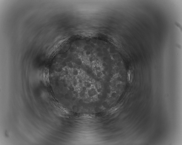 X0000099381251200805221757