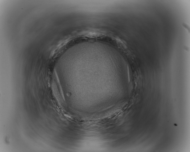 X0000099381253200805221757