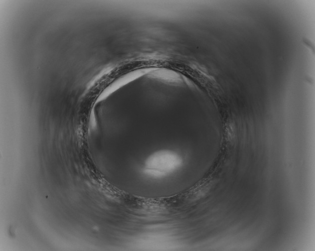 X0000099381254200805221757