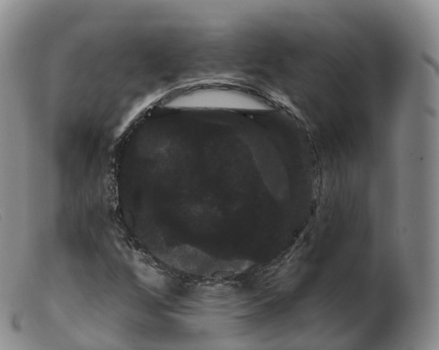 X0000099381256200805221757