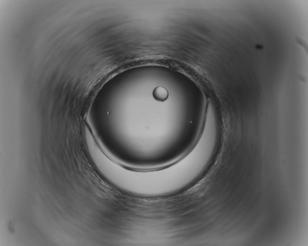 X0000099381257200805221757