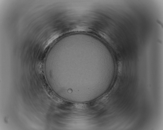 X0000099381258200805221757