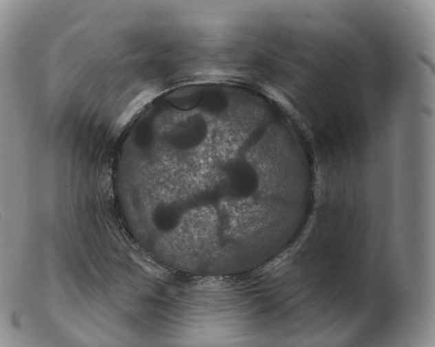 X0000099381259200805221757