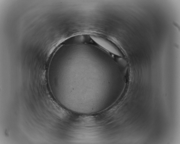 X0000099381260200805221757