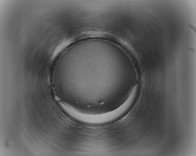 X0000099381261200805221757