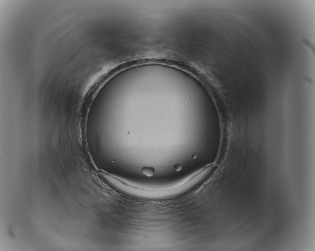 X0000099381262200805221757