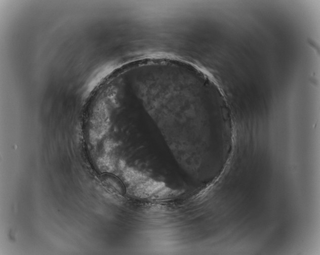 X0000099381263200805221757