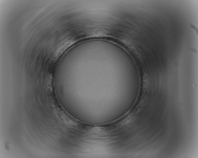 X0000099381265200805221757