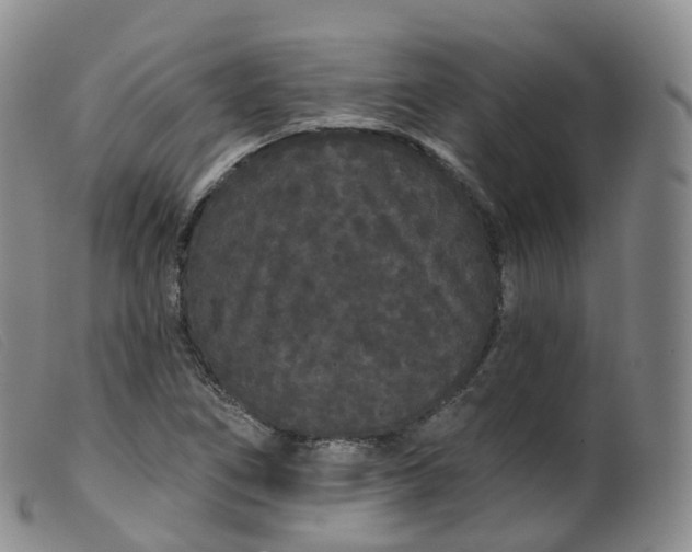 X0000099381266200805221757