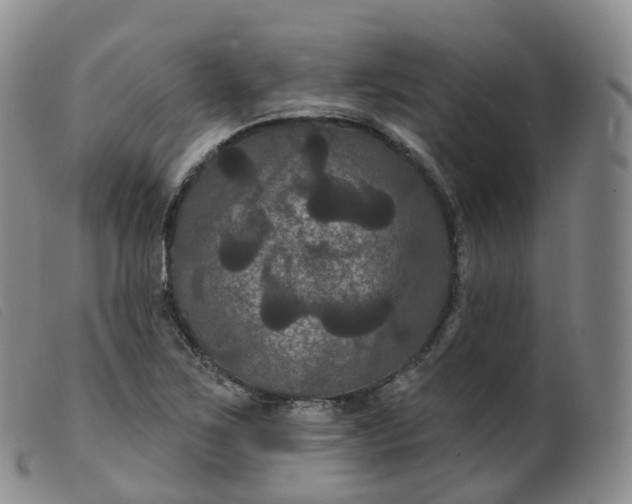 X0000099381267200805221757