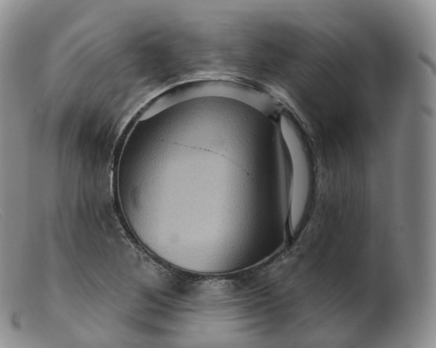 X0000099381268200805221757