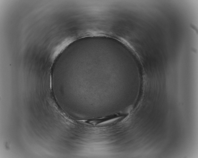 X0000099381269200805221757