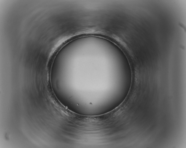 X0000099381270200805221757