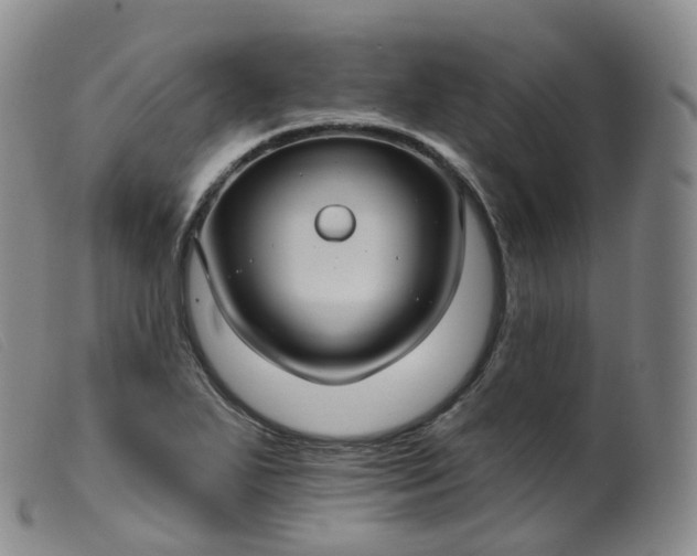 X0000099381271200805221757