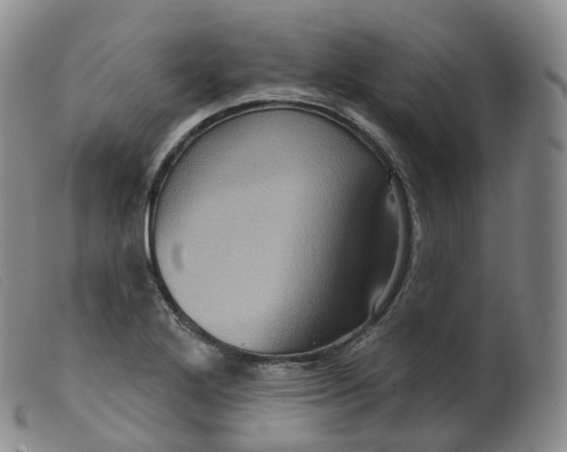 X0000099381272200805221757