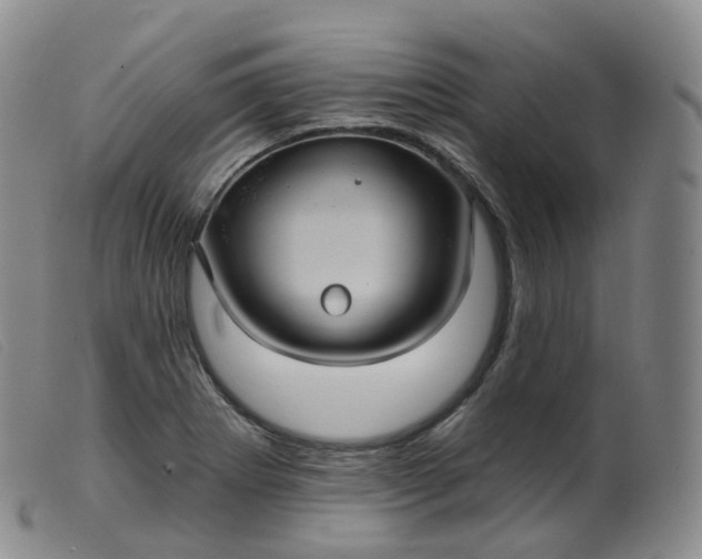 X0000099381273200805221757