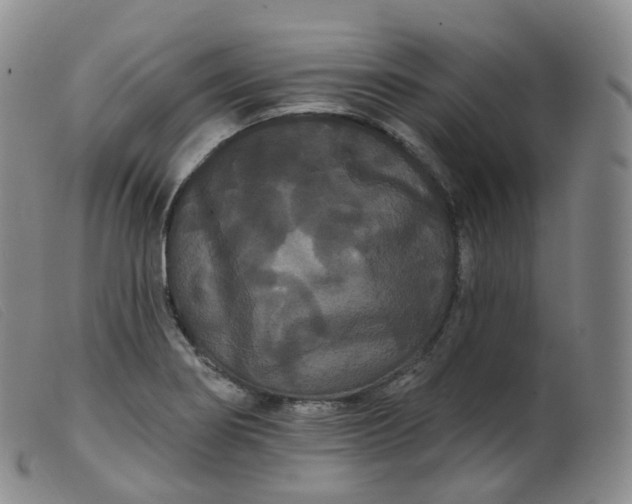 X0000099381274200805221757