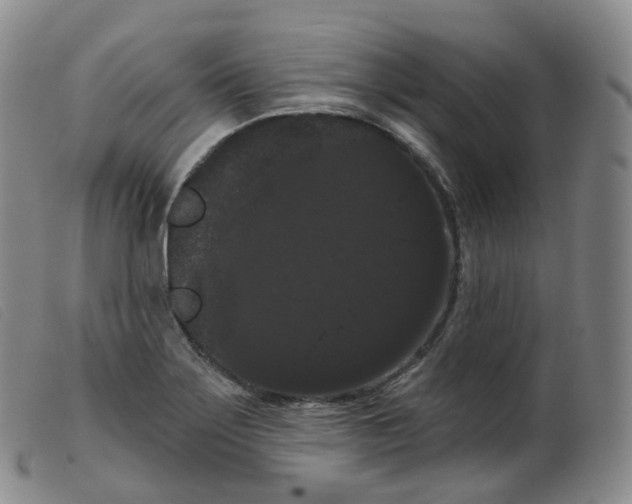 X0000099381275200805221757