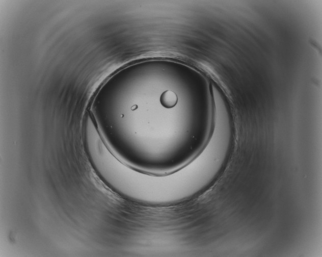 X0000099381276200805221757