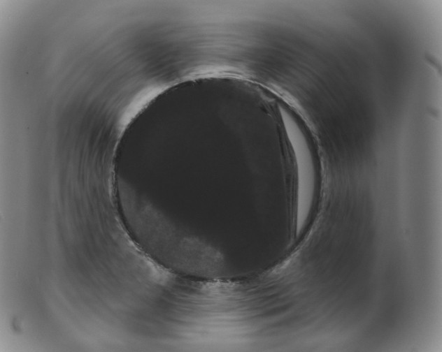 X0000099381277200805221757