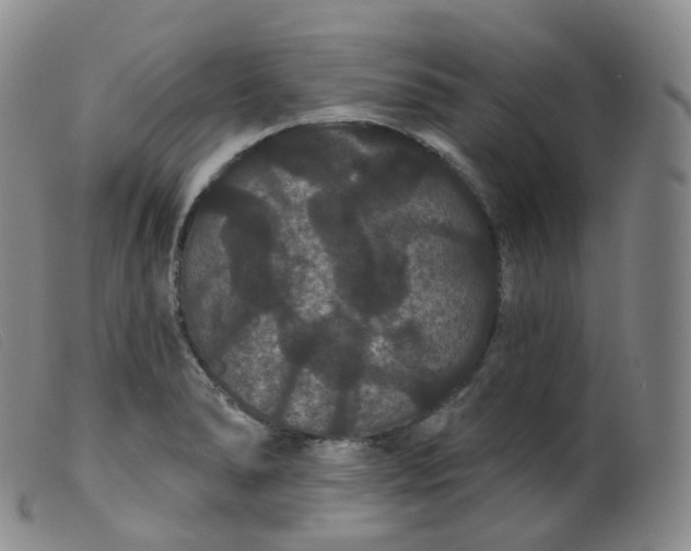 X0000099381278200805221757