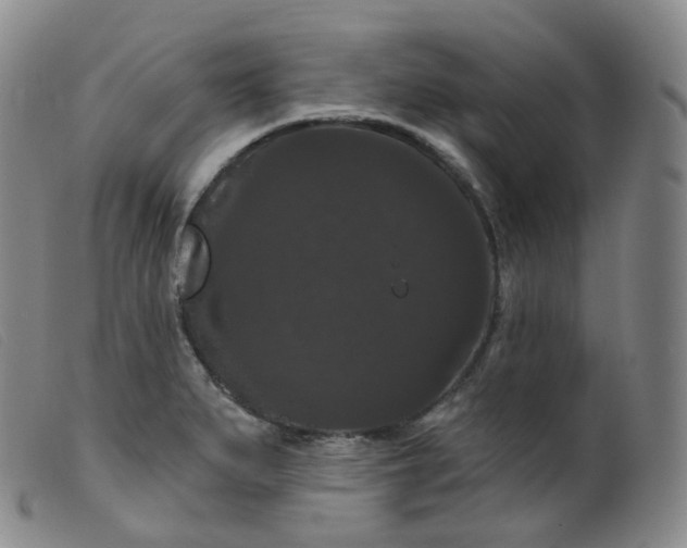 X0000099381279200805221757