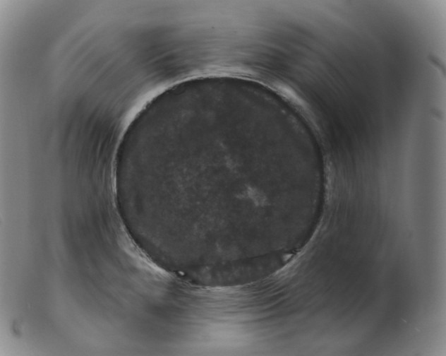 X0000099381280200805221757